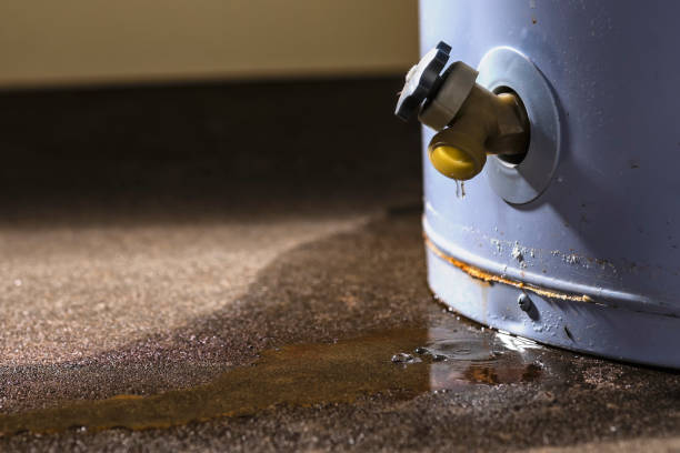 Best Local water damage restoration  in Paris, MO