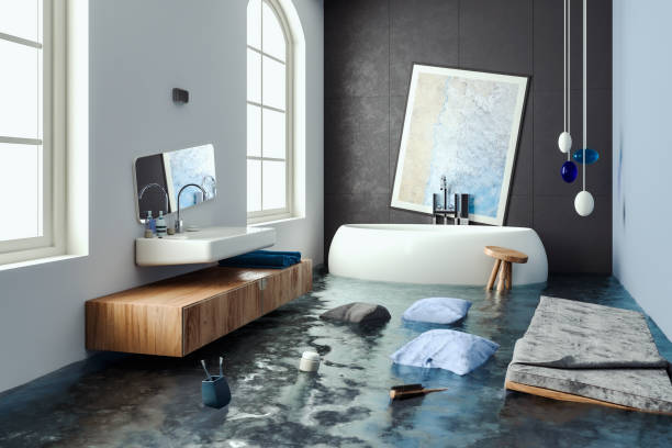 Best Carpet water damage restoration  in Paris, MO