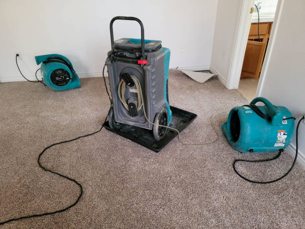 Best Flooded house restoration  in Paris, MO