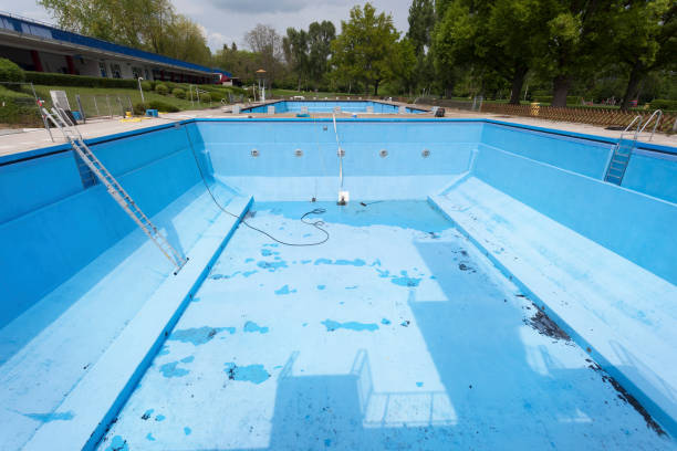 Best Mold removal after water damage  in Paris, MO