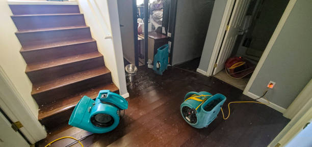 Best Ceiling water damage repair  in Paris, MO