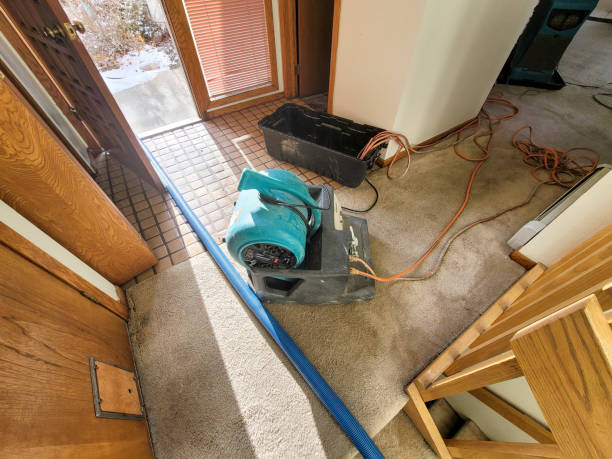 Best 24-hour water damage restoration  in Paris, MO
