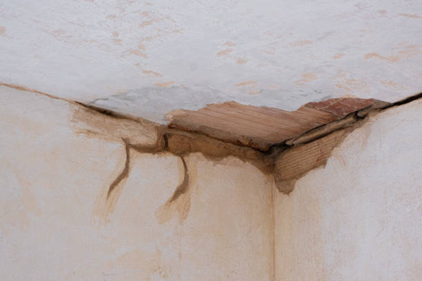 Best Professional water damage repair  in Paris, MO