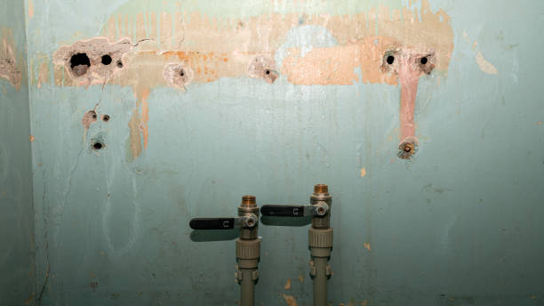 Best Local water damage restoration  in Paris, MO